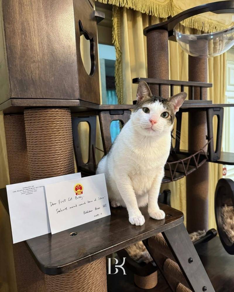 Instagram.com/bobbykertanegara